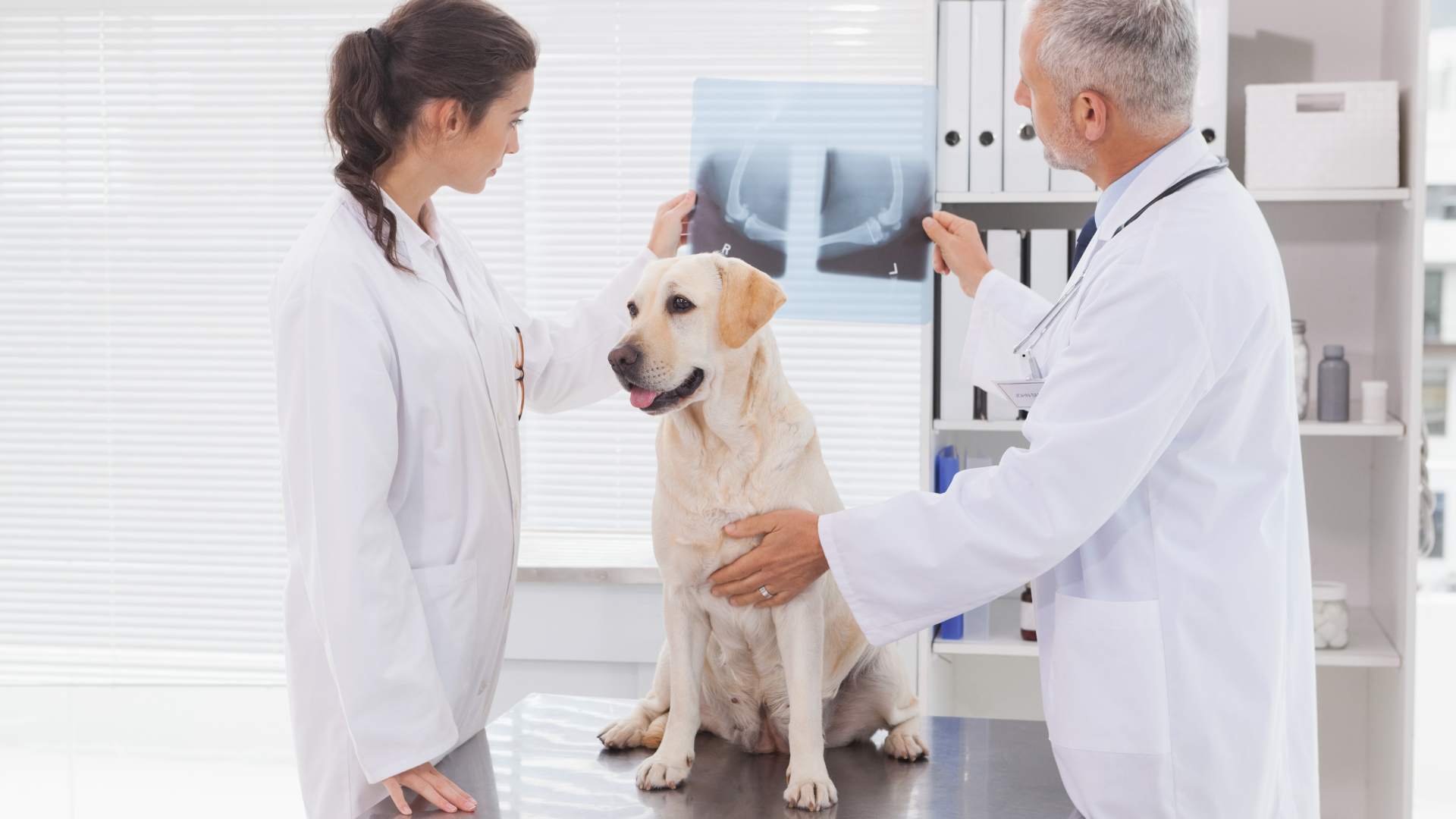 Medical-Assessment
