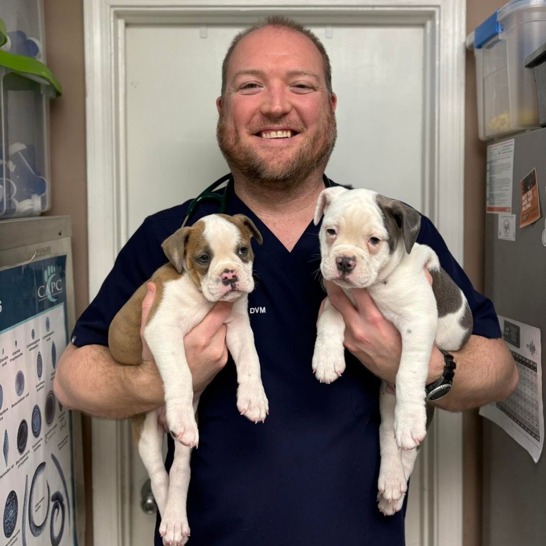A man gently cradles two adorable puppies in his arms, smiling warmly at the camera.
